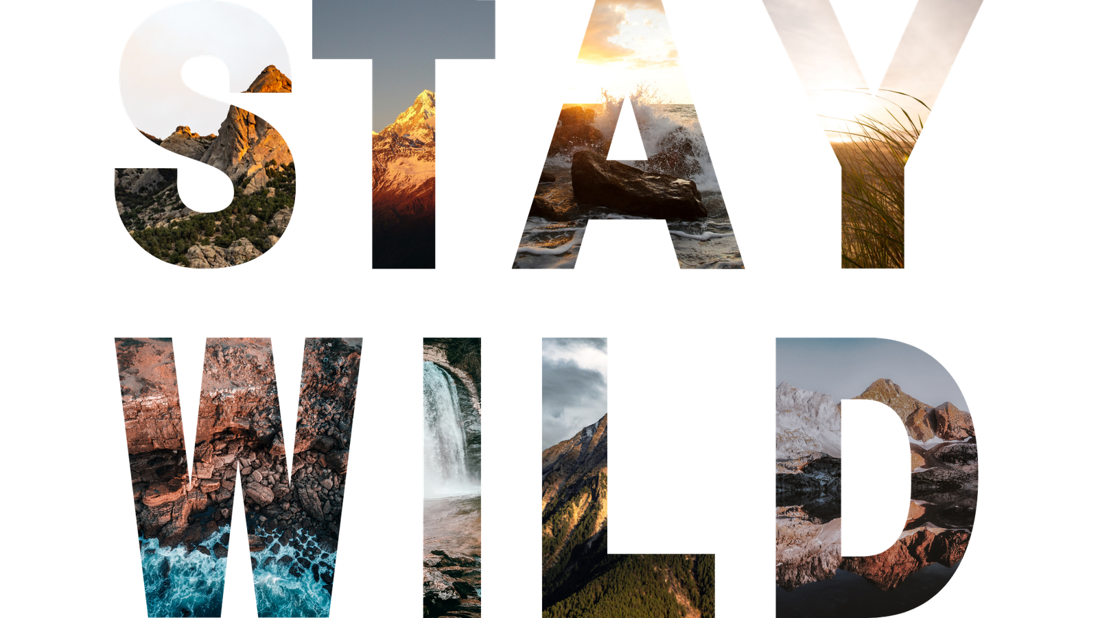 STAY WILD